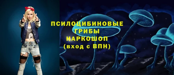 синтетический гашиш Медвежьегорск
