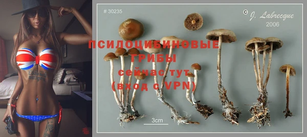 ГАЛЛЮЦИНОГЕННЫЕ ГРИБЫ Магадан