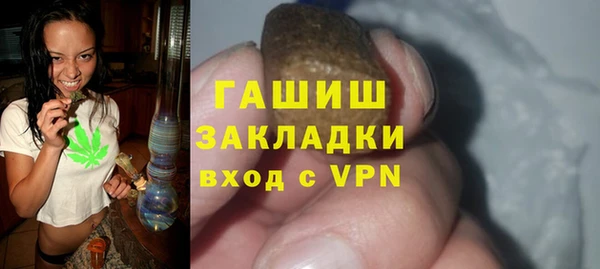 шишки Магас