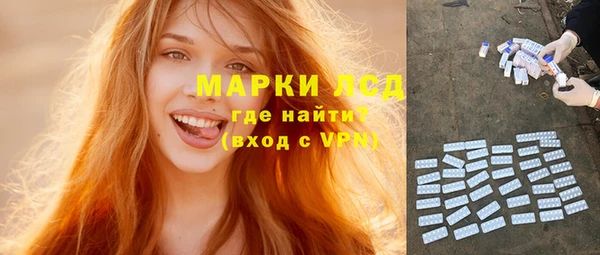 шишки Магас