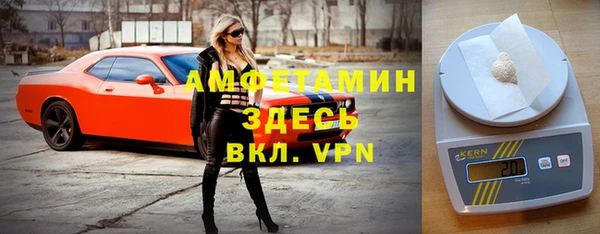 шишки Магас