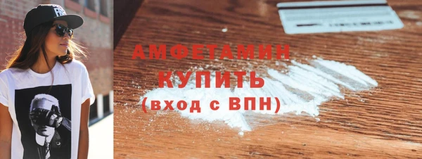 шишки Магас