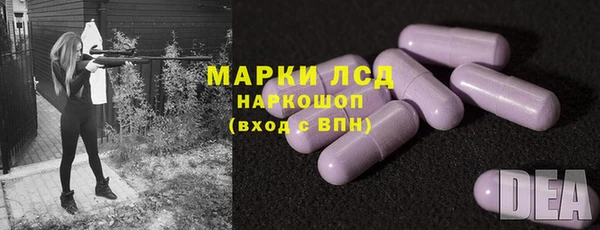 шишки Магас