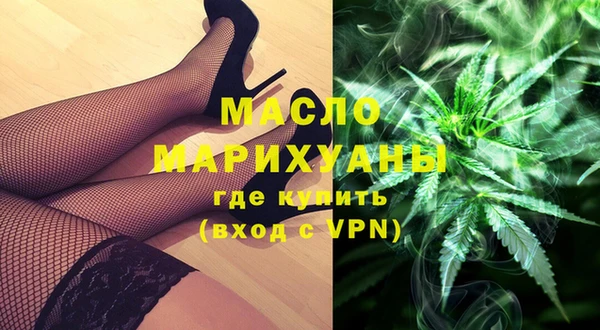 шишки Магас