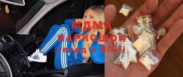 шишки Магас
